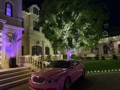 Home entrance with illuminated columns and courtyard trees beside a parked pink car