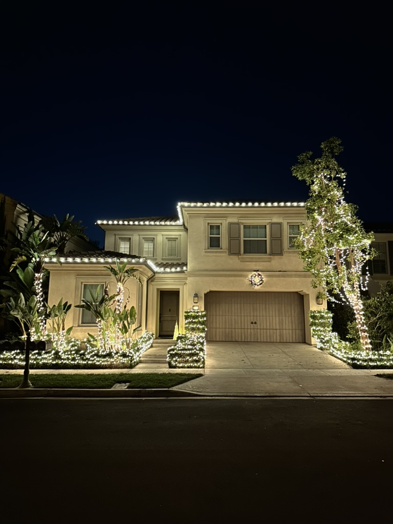 Warm-white lights outline a home and its garden, with a tall illuminated tree beside the driveway